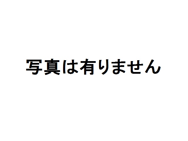 写真は有りません